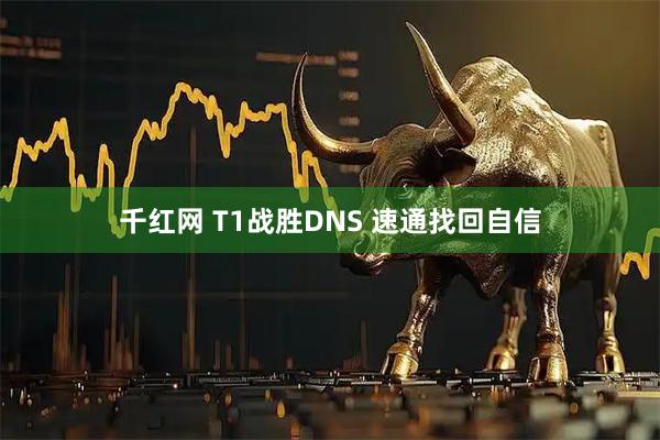 千红网 T1战胜DNS 速通找回自信